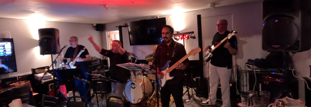Puffin Billy Band